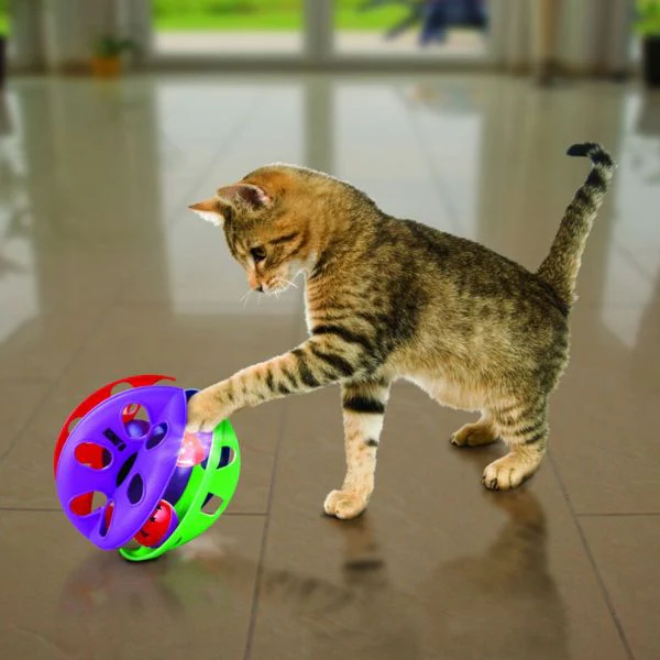 תמונת מוצר 3