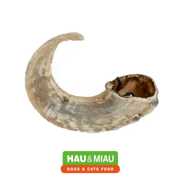 תמונת מוצר 1