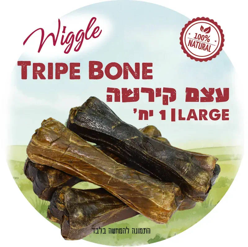 תמונת מוצר 1