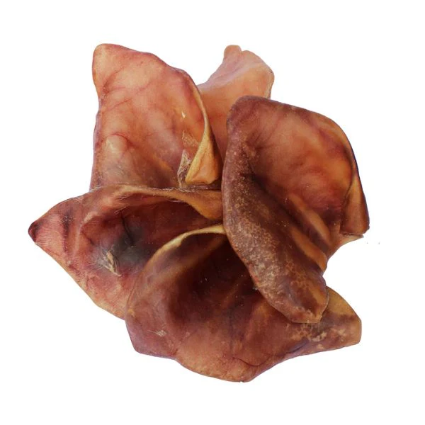 תמונת מוצר 1