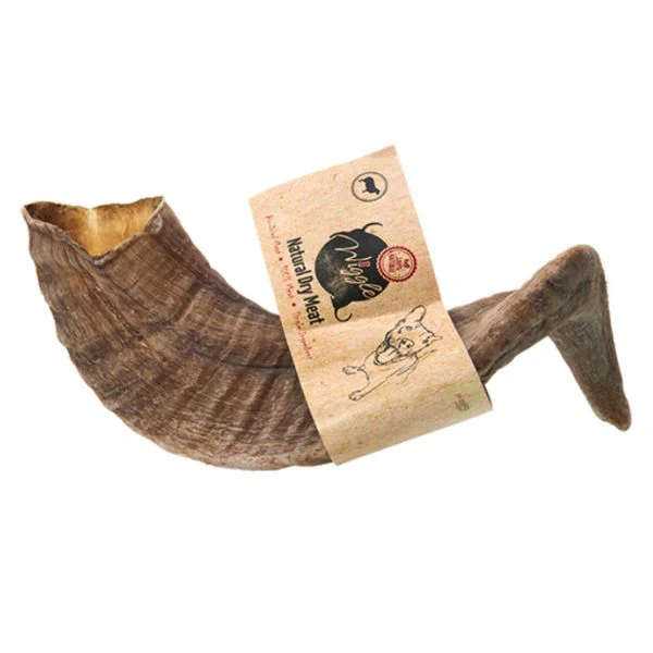תמונת מוצר 1