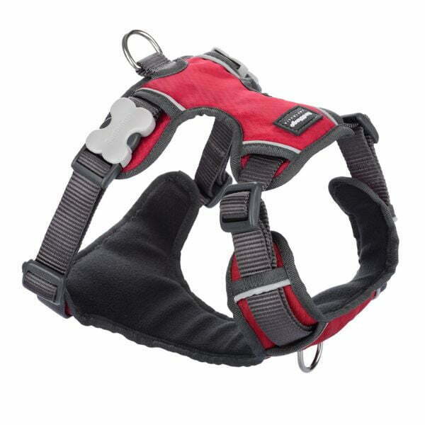 תמונה ממוזערת 1