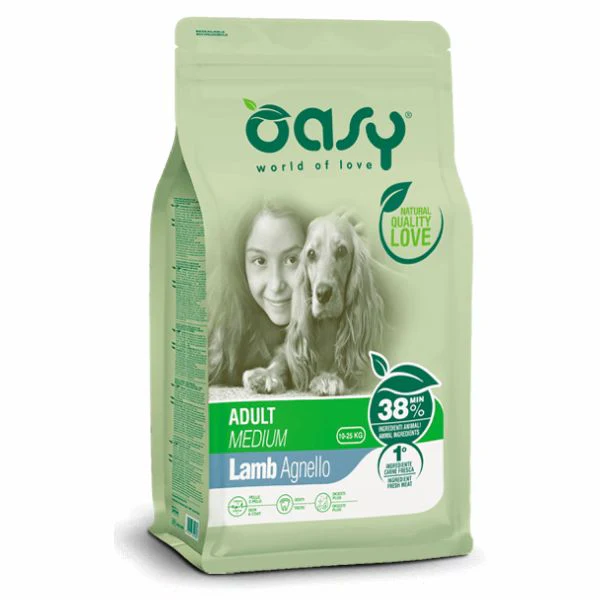 תמונת מוצר 1
